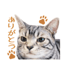Ta Nous et Mon（個別スタンプ：22）