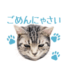 Ta Nous et Mon（個別スタンプ：24）