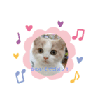 そらてんこのつく（個別スタンプ：2）