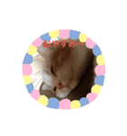 そらてんこのつく（個別スタンプ：4）
