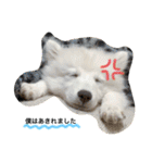 ぽんぷくん（個別スタンプ：2）