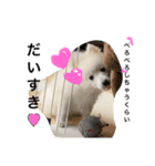 ぽんぷくん（個別スタンプ：4）