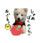 ぽんぷくん（個別スタンプ：7）
