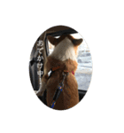 コーギー犬・はっぴー＆こう（個別スタンプ：4）