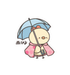 ぴよぴよしようよ2（個別スタンプ：24）