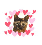 さびねこ わさび（個別スタンプ：16）