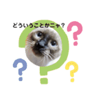 みいちゃんとまなちゃんのスタンプ（個別スタンプ：26）