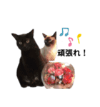 みいちゃんとまなちゃんのスタンプ（個別スタンプ：27）