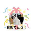 みいちゃんとまなちゃんのスタンプ（個別スタンプ：32）