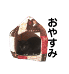 みいちゃんとまなちゃんのスタンプ（個別スタンプ：40）