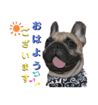 ふれぶる 鹿の子シャーロット＆バンビ（個別スタンプ：1）