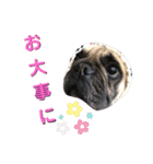 ふれぶる 鹿の子シャーロット＆バンビ（個別スタンプ：8）