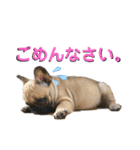ふれぶる 鹿の子シャーロット＆バンビ（個別スタンプ：28）