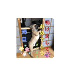 ふれぶる 鹿の子シャーロット＆バンビ（個別スタンプ：39）
