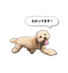 cocoすたんぷ.（個別スタンプ：7）