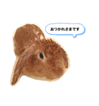 popoすたんぷ（個別スタンプ：2）