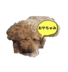 ポー兄と小太郎（個別スタンプ：1）