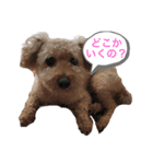ポー兄と小太郎（個別スタンプ：4）