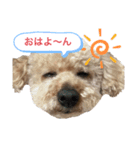 ポー兄と小太郎（個別スタンプ：7）