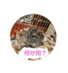ハム助たん（個別スタンプ：4）
