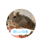 ハム助たん（個別スタンプ：7）