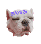 だいふく♡おはぎ（個別スタンプ：2）