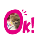 だいふく♡おはぎ（個別スタンプ：3）