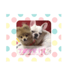 だいふく♡おはぎ（個別スタンプ：6）