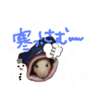 キンクマハムスターのドリスくん②（個別スタンプ：11）