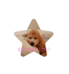 ポノちゃんスタンプその3（個別スタンプ：3）