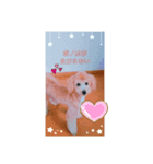 ポノちゃんスタンプその3（個別スタンプ：4）