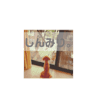 ポノちゃんスタンプその3（個別スタンプ：5）