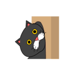 黒猫のアニメーションスタンプvo2（個別スタンプ：1）