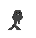 黒猫のアニメーションスタンプvo2（個別スタンプ：10）