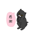 黒猫のアニメーションスタンプvo2（個別スタンプ：22）
