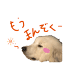 日常で使えるかも 琥珀＆ウサギスタンプ（個別スタンプ：1）