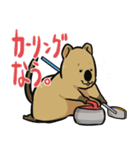 カーリングクアッカワラビー2（個別スタンプ：1）