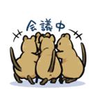 カーリングクアッカワラビー2（個別スタンプ：3）