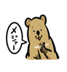 カーリングクアッカワラビー2（個別スタンプ：13）