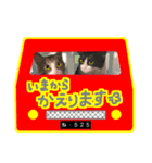 ねこのきょうだい*とらまお（個別スタンプ：5）