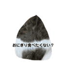 にゃんこの群れ（個別スタンプ：2）
