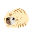 にゃんこの群れ（個別スタンプ：18）