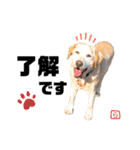 ラッキーと愉快な仲間たち（個別スタンプ：9）