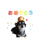 ラッキーと愉快な仲間たち（個別スタンプ：12）