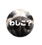 ラッキーと愉快な仲間たち（個別スタンプ：18）