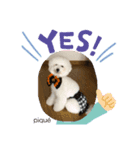 ピケその1（個別スタンプ：5）