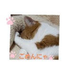 うめちゃ1（個別スタンプ：5）