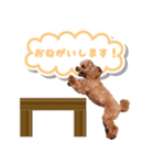 ベルちゃんのスタンプ by CoCo STAMP（個別スタンプ：6）