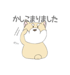 敬語の柴犬（個別スタンプ：2）
