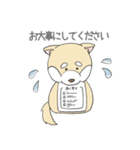 敬語の柴犬（個別スタンプ：9）
